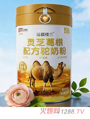 �h�����m�`֥����䷽��̷�